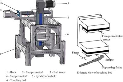 Investigation of <mark class="highlighted">Tactile Perception</mark> Evoked by Ridged Texture Using ERP and Non-linear Methods